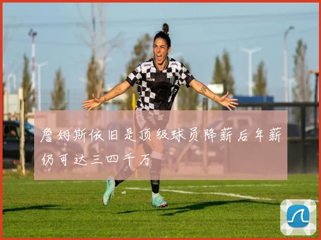 詹姆斯依旧是顶级球员降薪后年薪仍可达三四千万