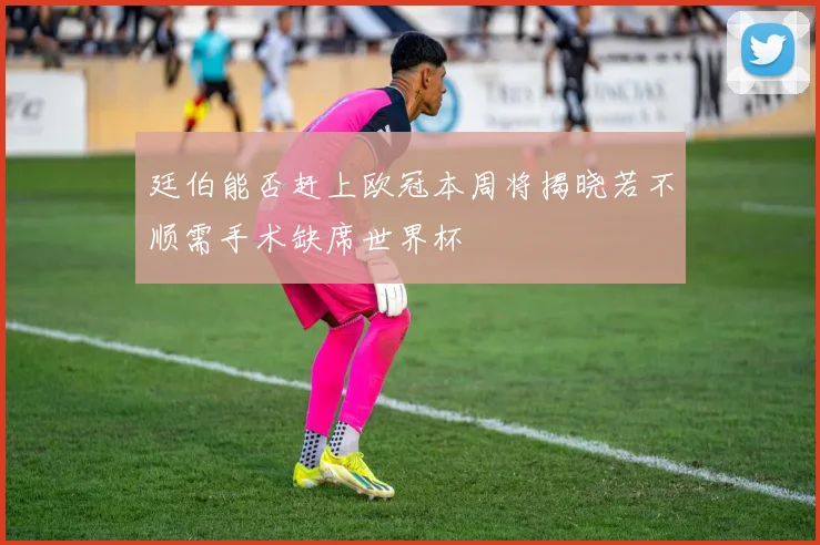 廷伯能否赶上欧冠本周将揭晓若不顺需手术缺席世界杯